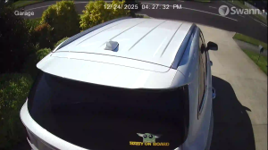 Caméra IP - Neuseeland