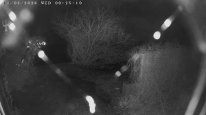 Caméra IP - Netherlands