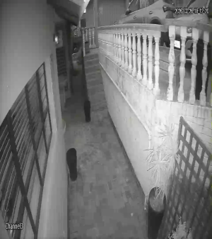 Caméra IP - Sudafrica