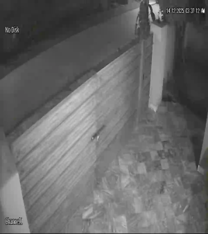 Caméra IP - Estados Unidos