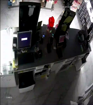 Caméra IP - Denmark