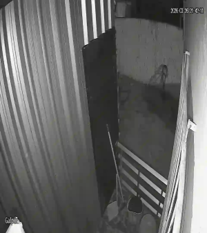 Caméra IP - Uruguay