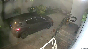 Caméra IP - Georgia