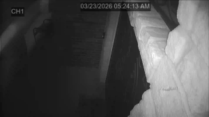 Caméra IP - United States of America