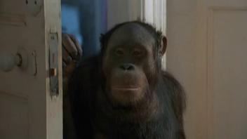 Elisabeth Shue Nude – Flash (1986)