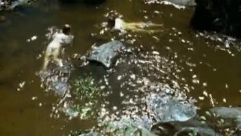 Natacha Regnier Nude - Lovers Crime (1999)