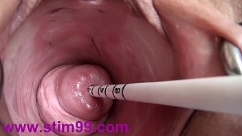 Extreme Pleasure: BDSM Videos with Objects and Insertions