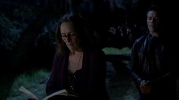 Kristin Bauer nackt – True Blood s04 (2011)