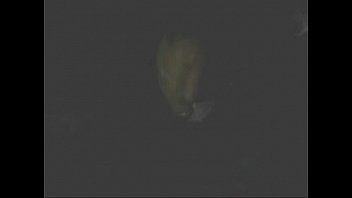 Online-Community fur freche Videos