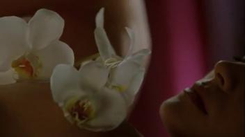 Shannyn Sossamon nackt – 40 Days and 40 Nights