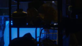 Vanessa Lengies Naked: A second luck